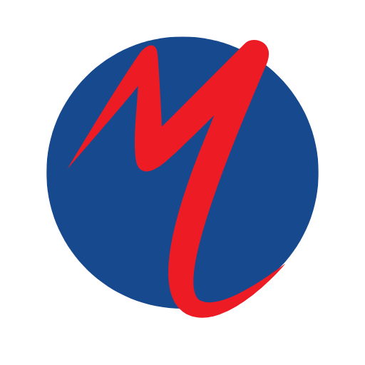 Website Design Service